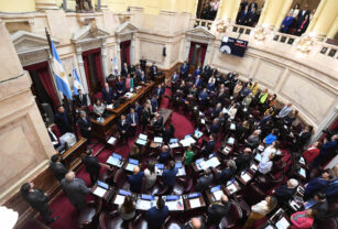 senado ficha limpia