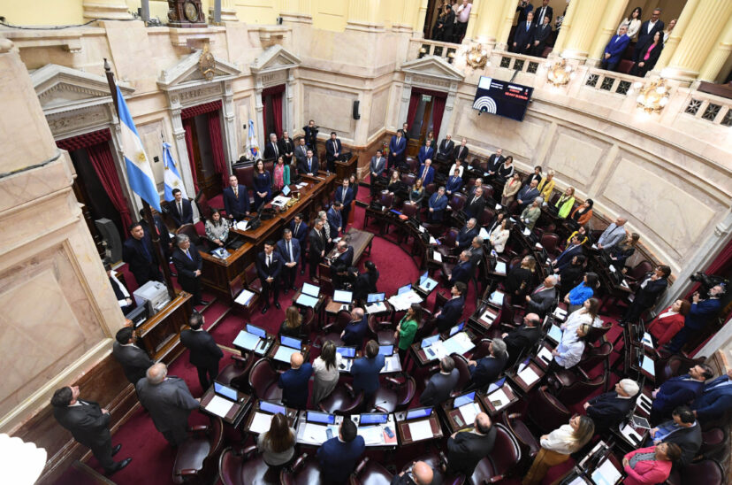 senado ficha limpia