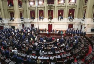Milei Presupuesto 2025 PASO