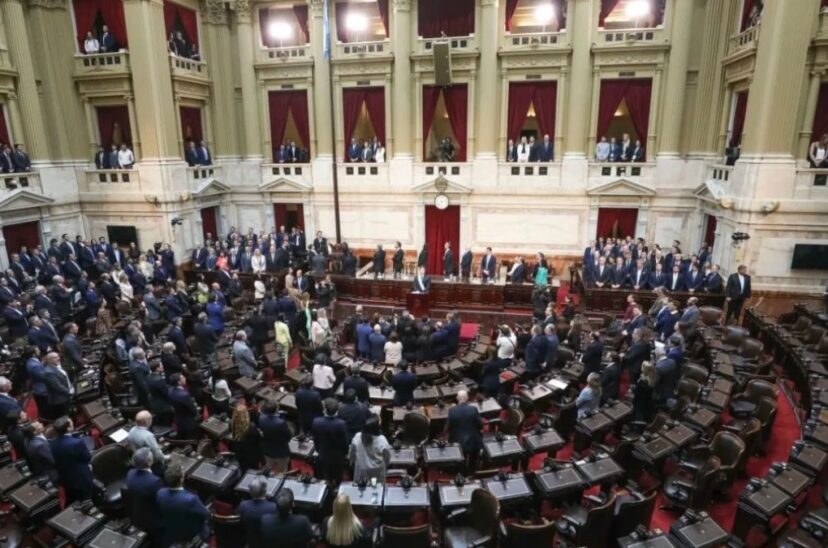 Milei Presupuesto 2025 PASO