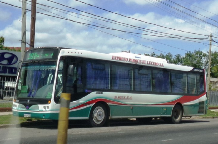 colectivo