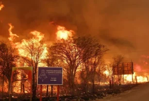 incendios en Córdoba