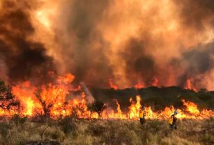 Incendios en Córdoba
