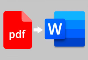 PDF WORD