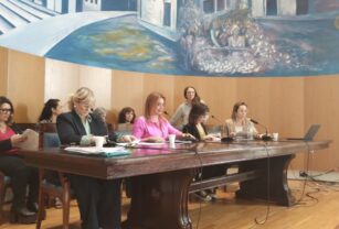 Periodistas Argentinas ciberacoso