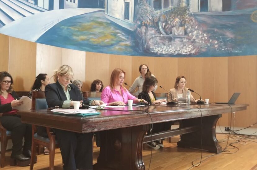 Periodistas Argentinas ciberacoso