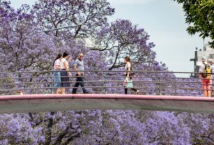 Primavera