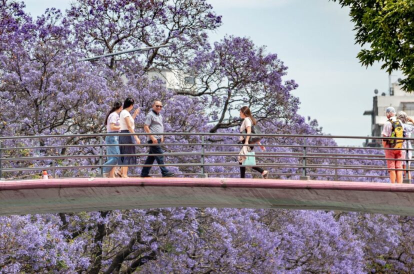 Primavera
