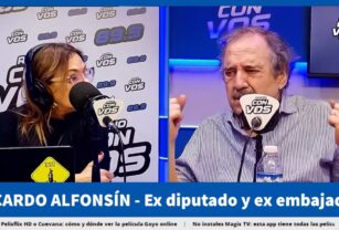 Ricardo Alfonsín en RCV