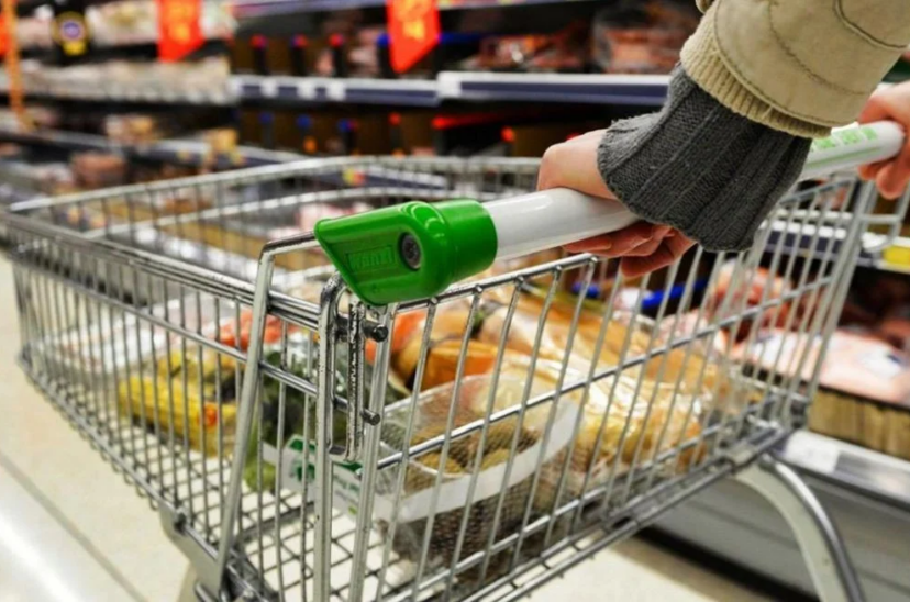 alimentos