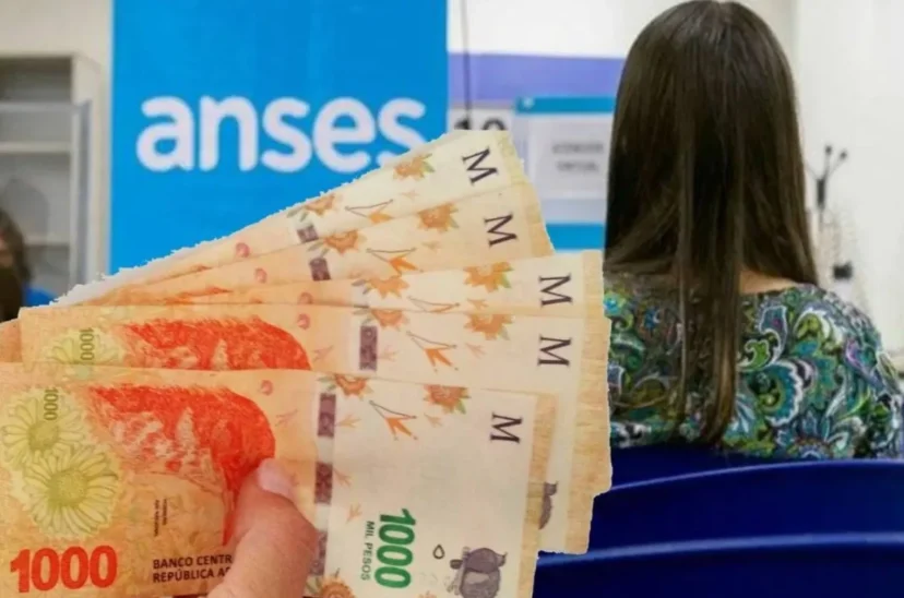 ANSES