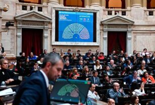 diputados tenencia de armas