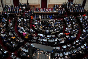 diputados - FMI