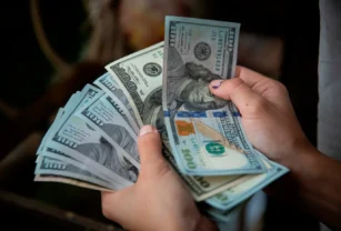 dólares dólar