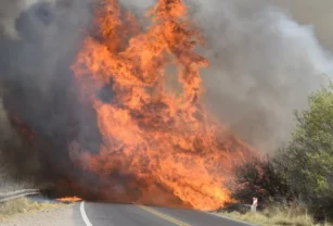 fuego