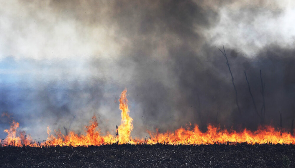 Incendios forestales