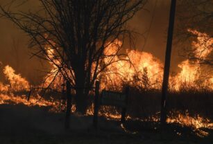 Incendios forestales en Córdoba