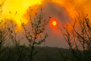 Incendios forestales en Córdoba