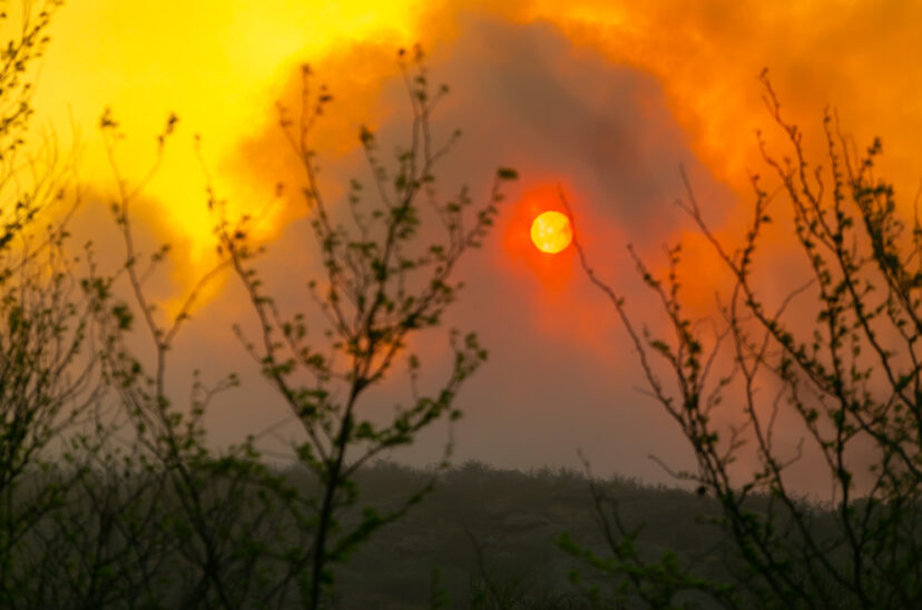 Incendios forestales en Córdoba