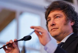 milei presupuesto 2025 cadena nacional