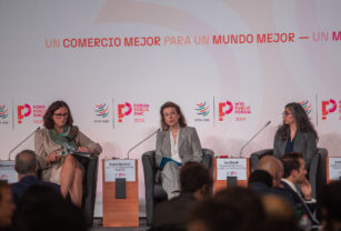mondino en la omc