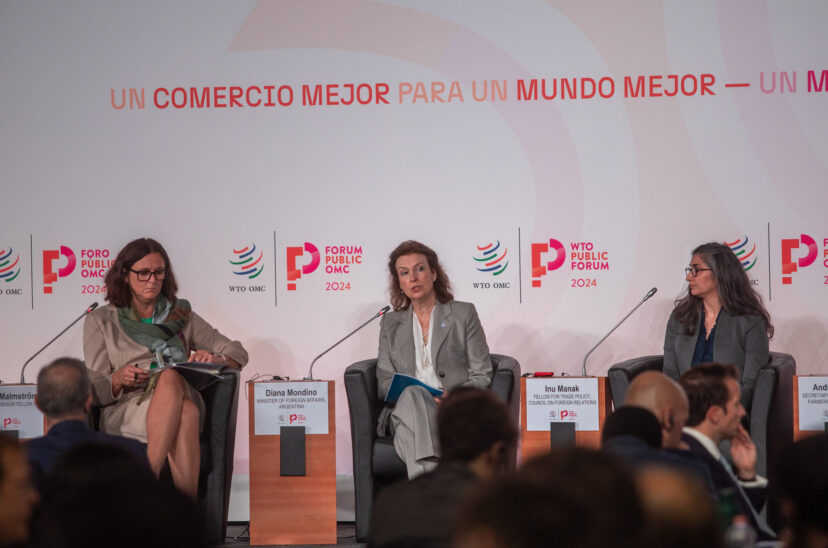 mondino en la omc