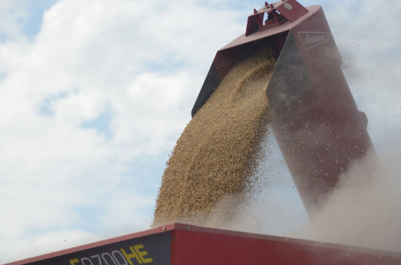 Agroindustria agro renta agrícola