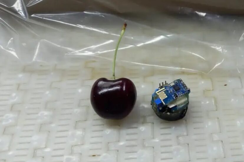 Cereza electrónica