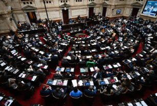 Diputados milei $libra