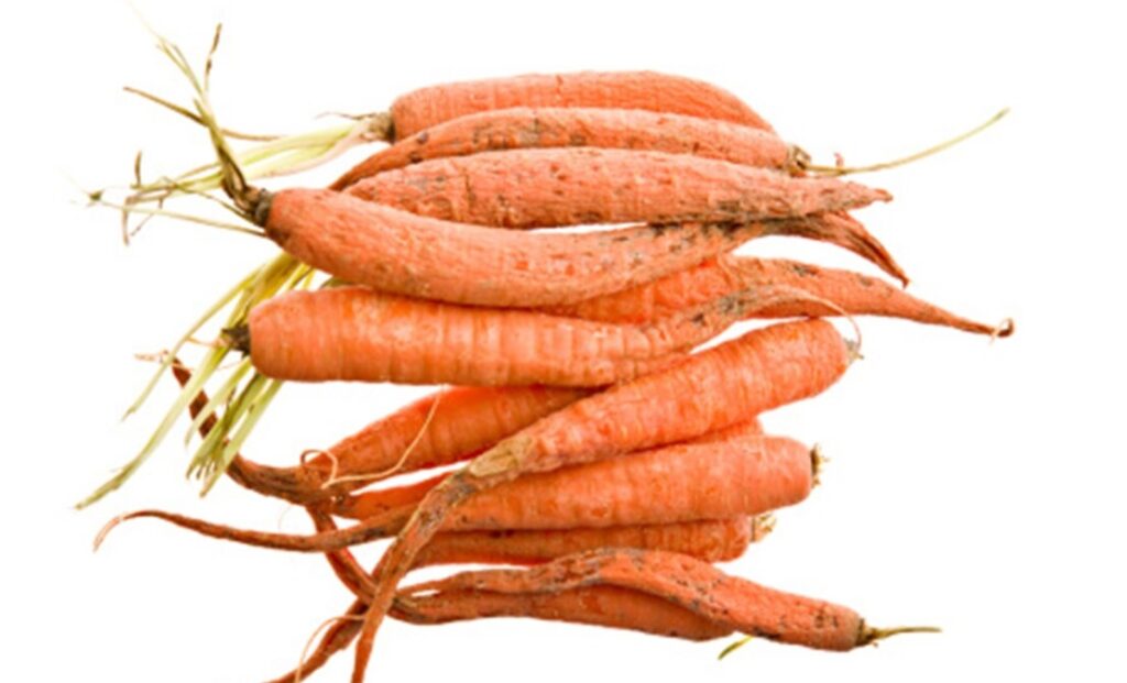 Zanahorias