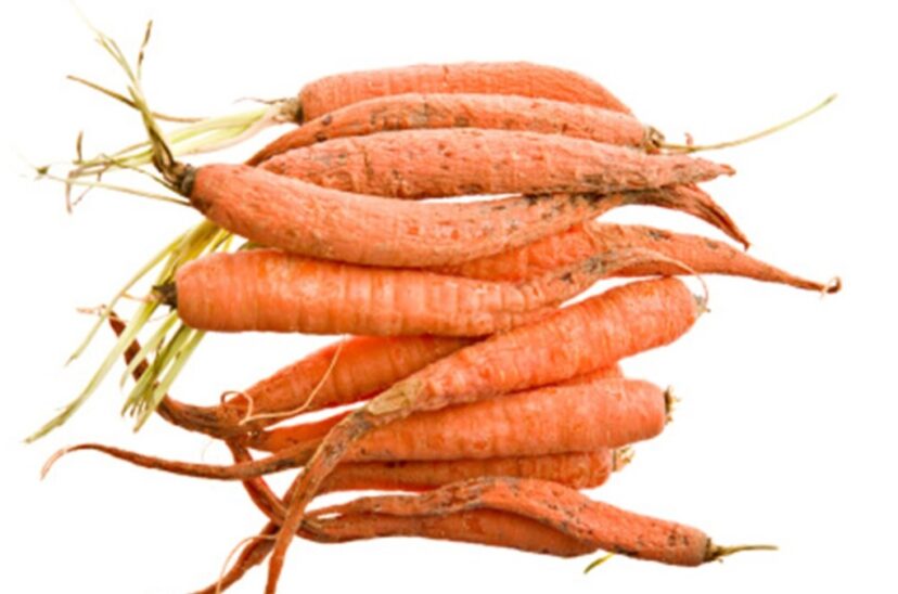 Zanahorias