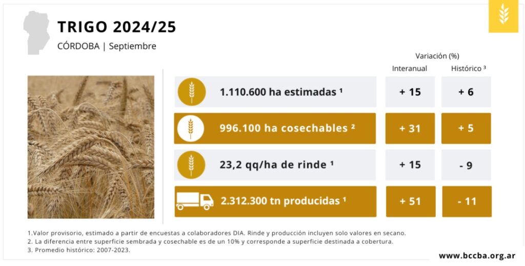 bolsa rindes trigo córdoba