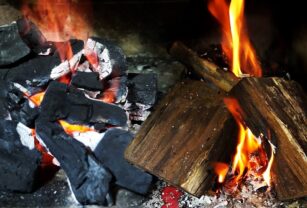 carbón leña parrilla