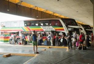 desregulación transporte