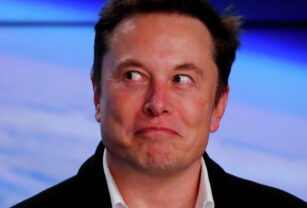 elon musk brasil