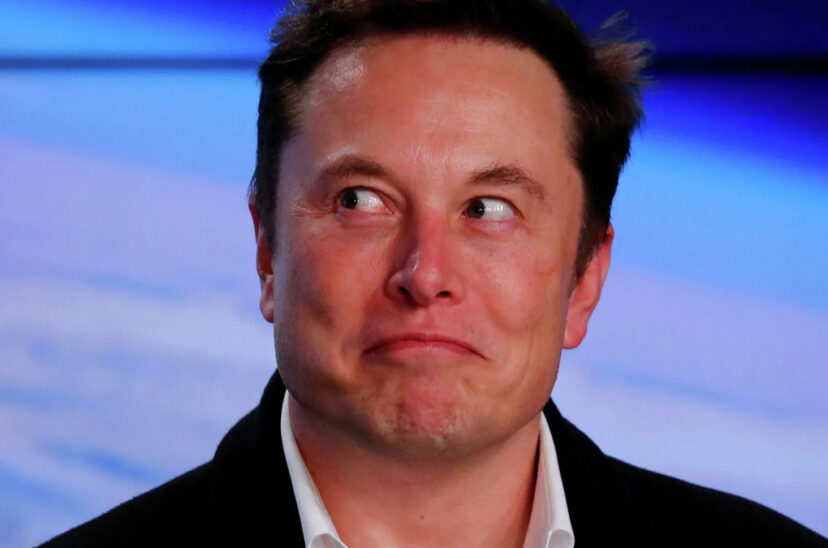 elon musk brasil