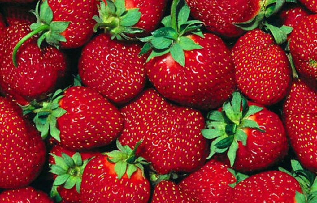 frutillas
