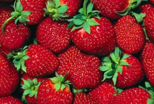 frutillas