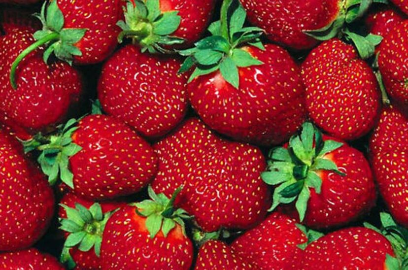 frutillas