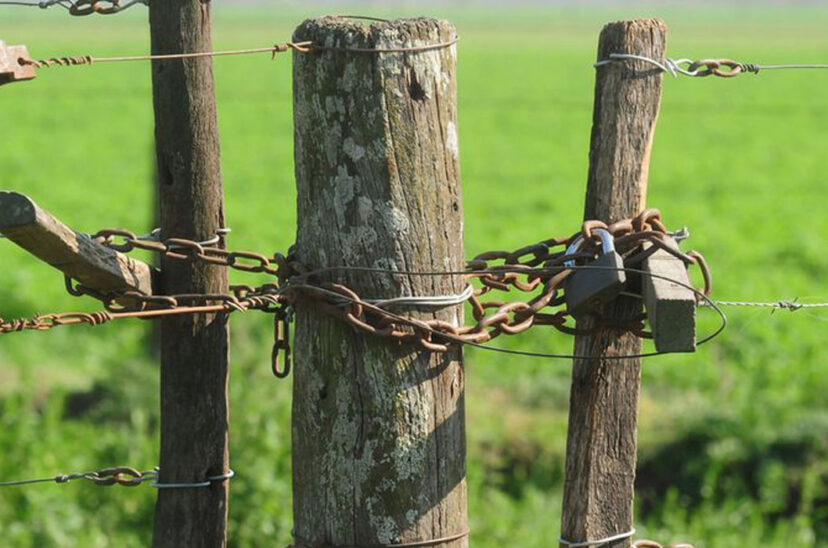 inseguridad rural