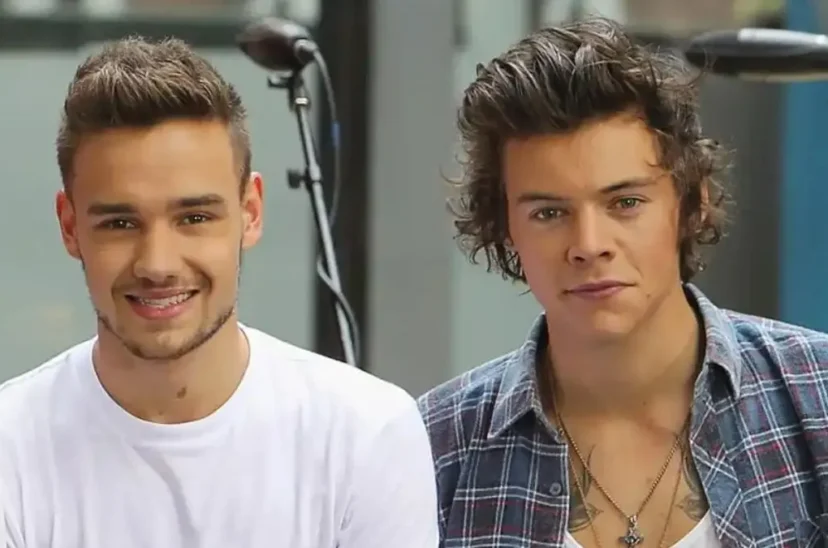 liam-payne-harry-styles