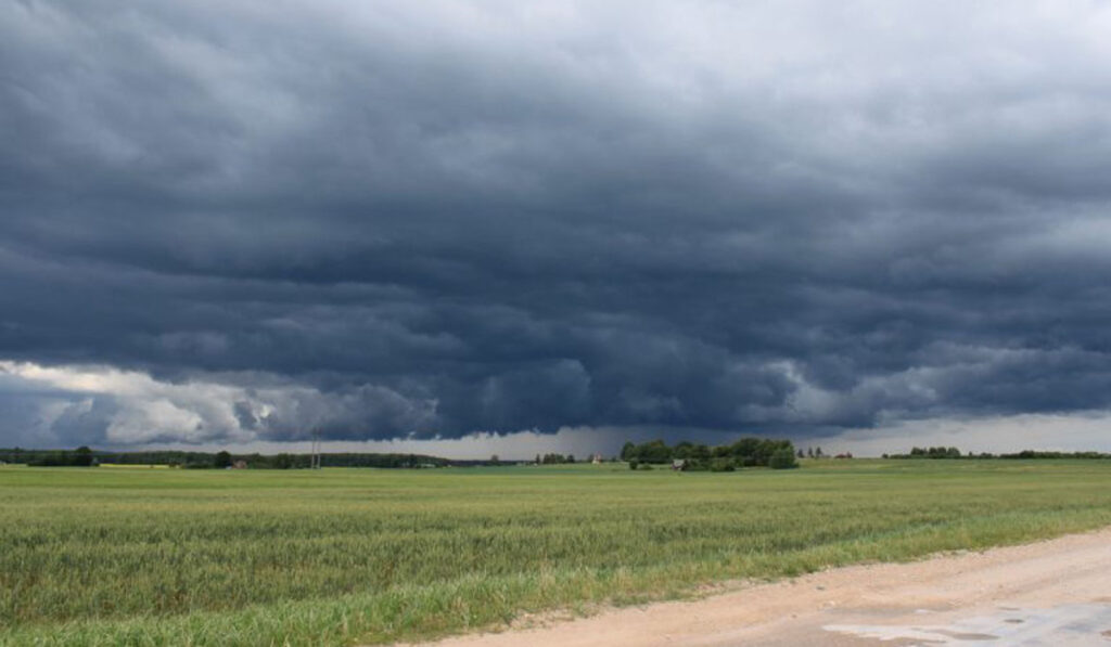 lluvias trigo tormentas