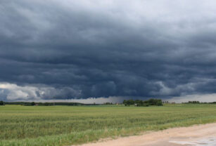 lluvias trigo