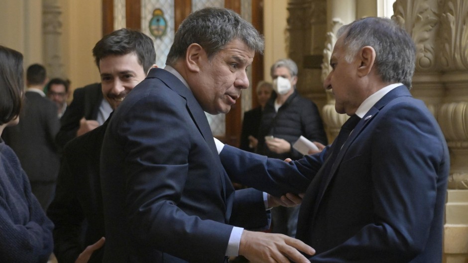 Facundo-Manes-Radicales