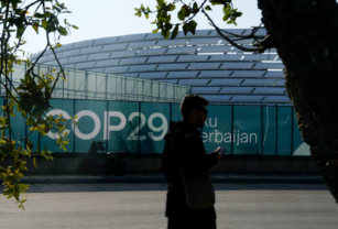 COP 29