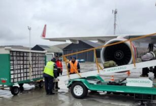 intercargo