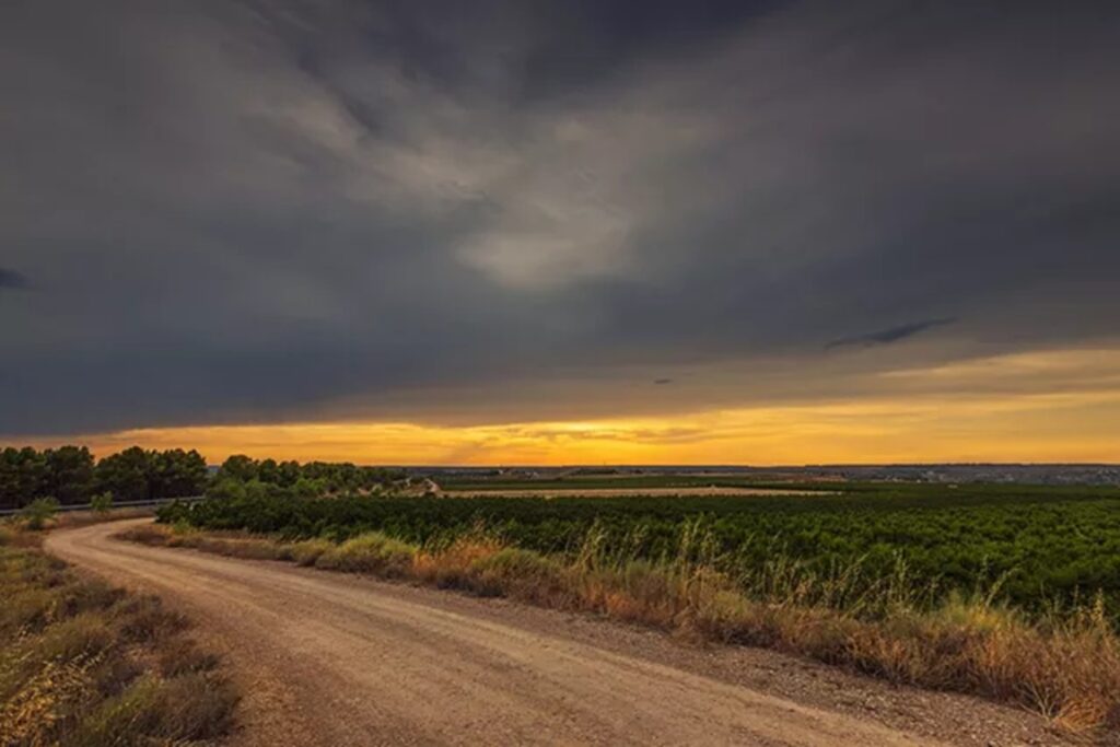 caminos rurales tasas municipales