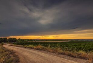 caminos rurales tasas municipales