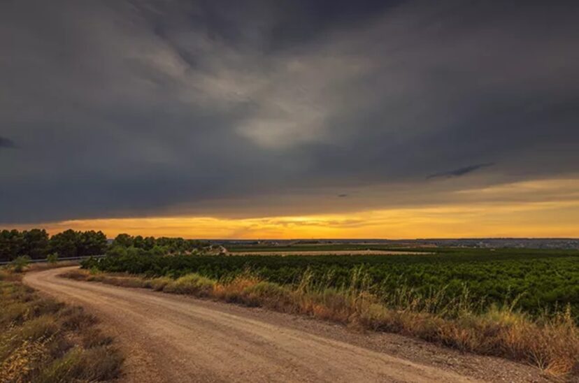 caminos rurales tasas municipales