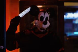 mickey terror
